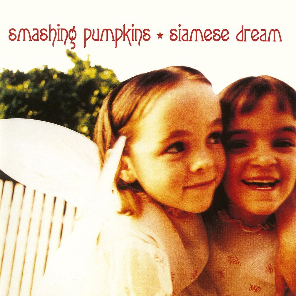 Lirinterpretacja - The Smashing Pumpkins - Disarm