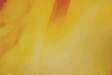 Burn cover 3