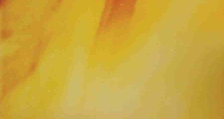 Burn cover 3