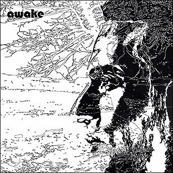 Uriel Herman - Awake