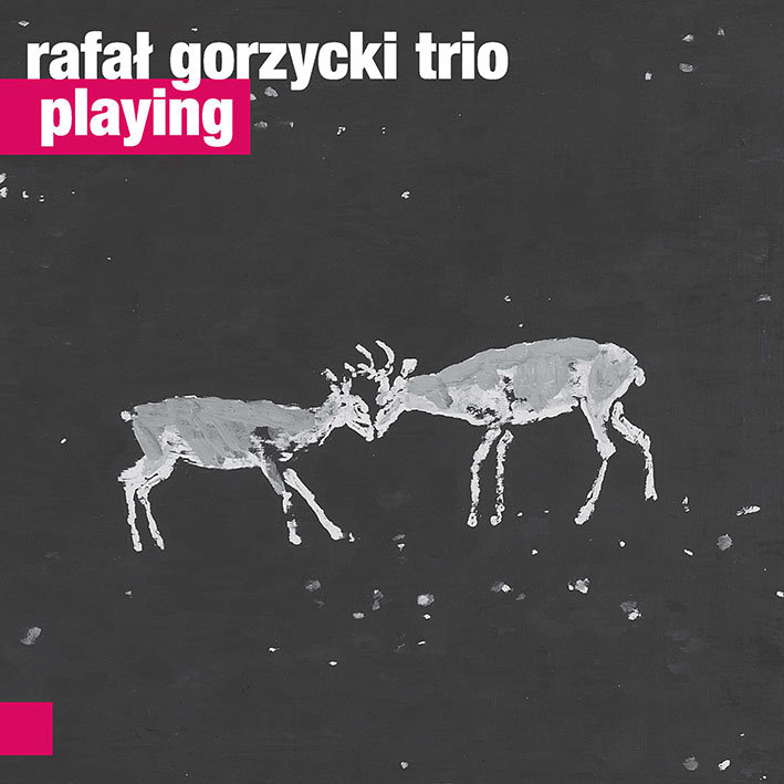 Rafał Gorzycki Trio - Playing