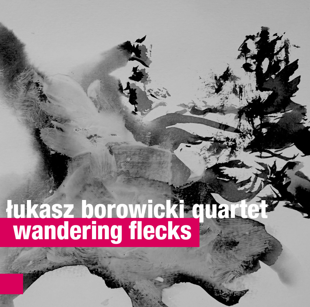 Łukasz Borowicki Quartet - Wandering Flecks