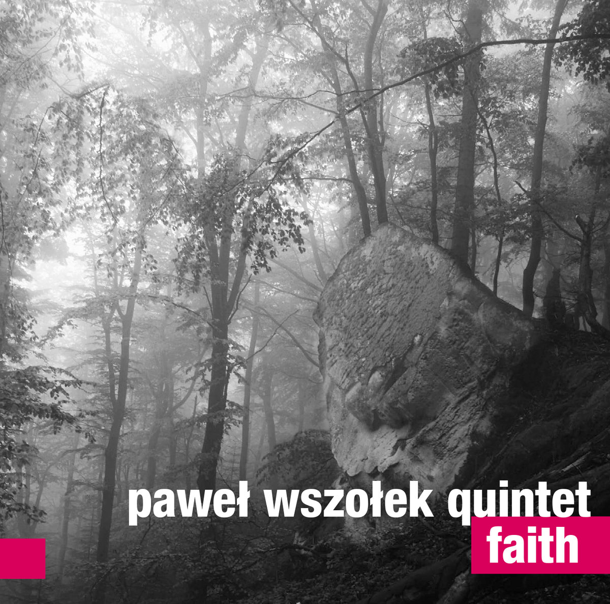 Paweł Wszołek Quintet - Faith