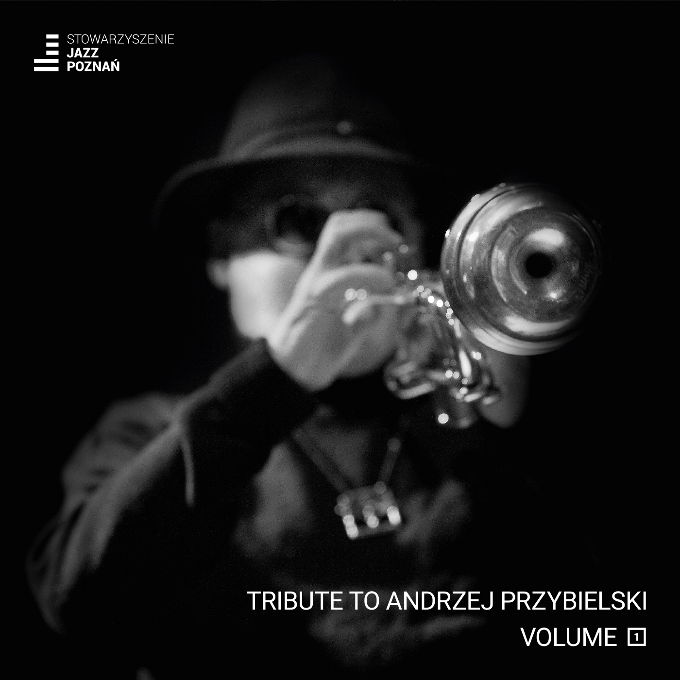 Różni wykonawcy - Tribute To Andrzej Przybielski, Volume 1