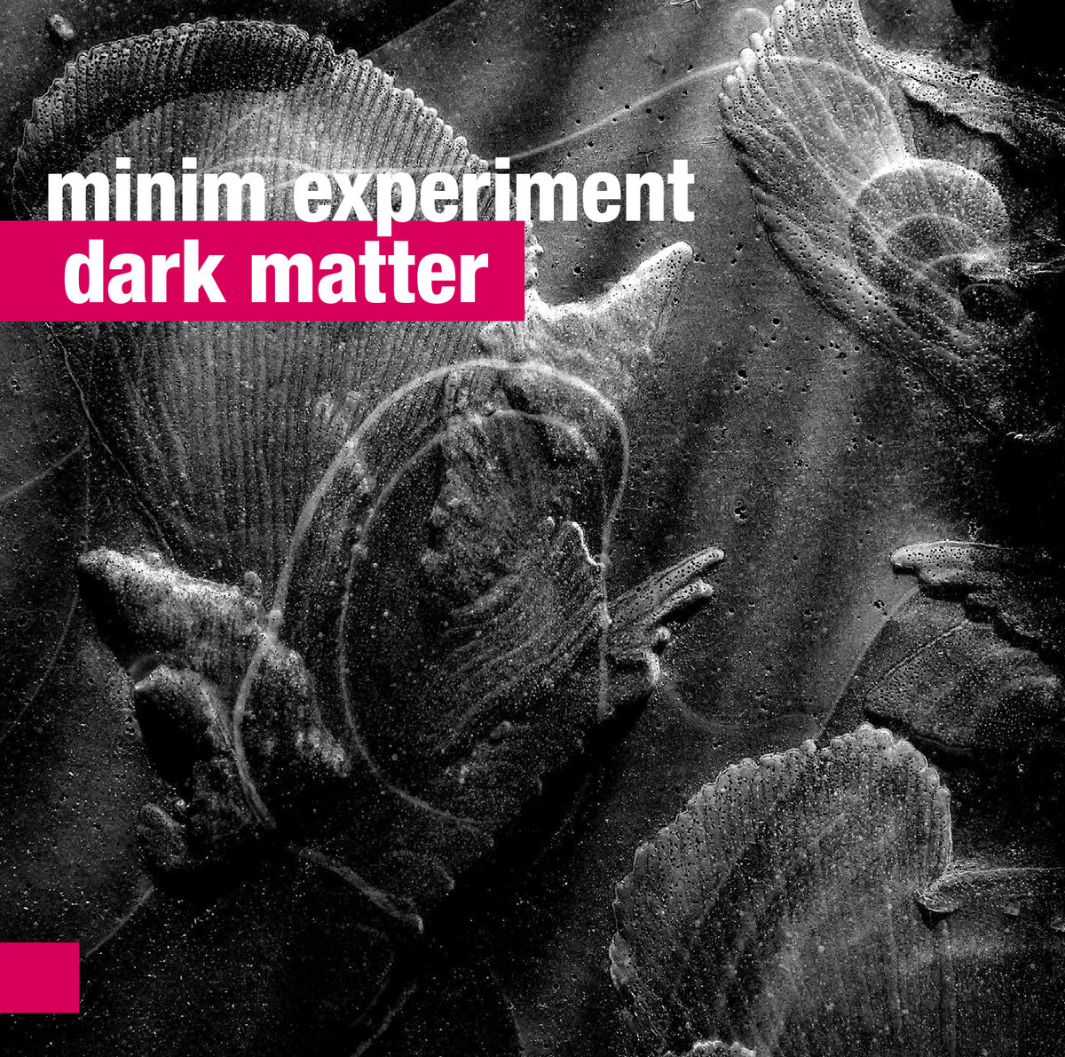 Minim Experiment - Dark Matter