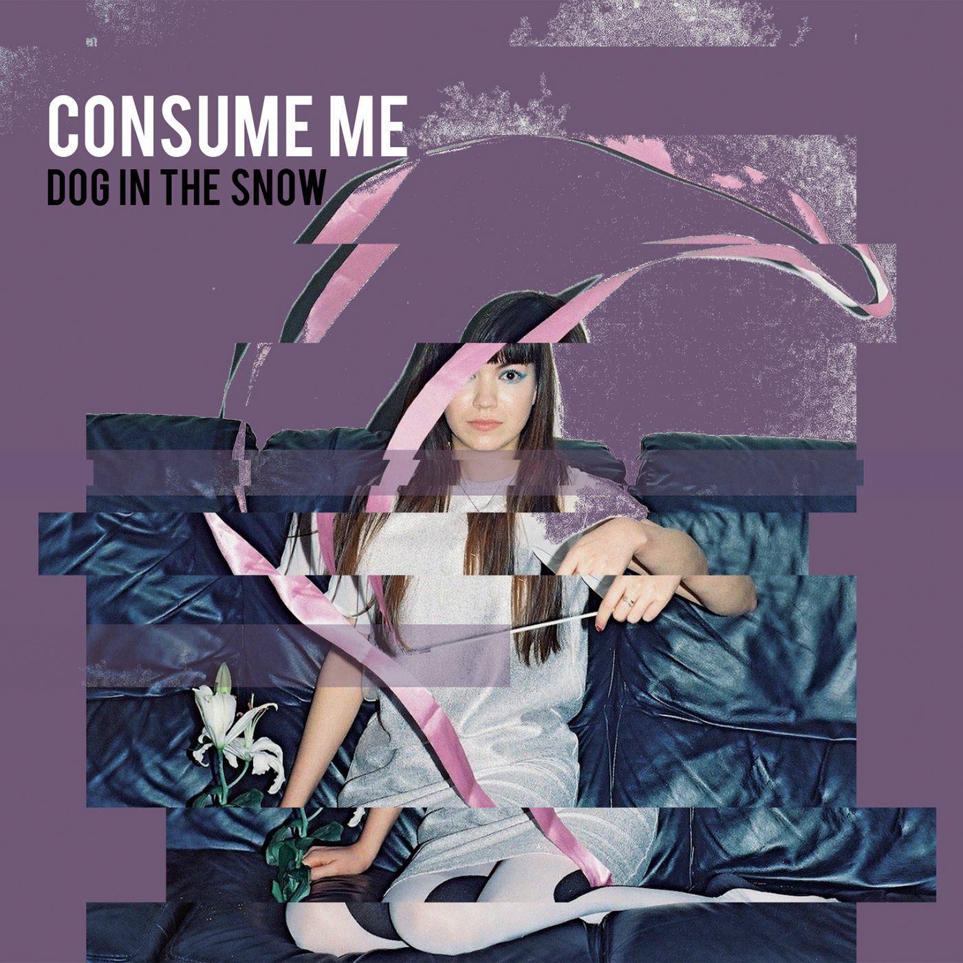 Dog in the Snow - Consume Me