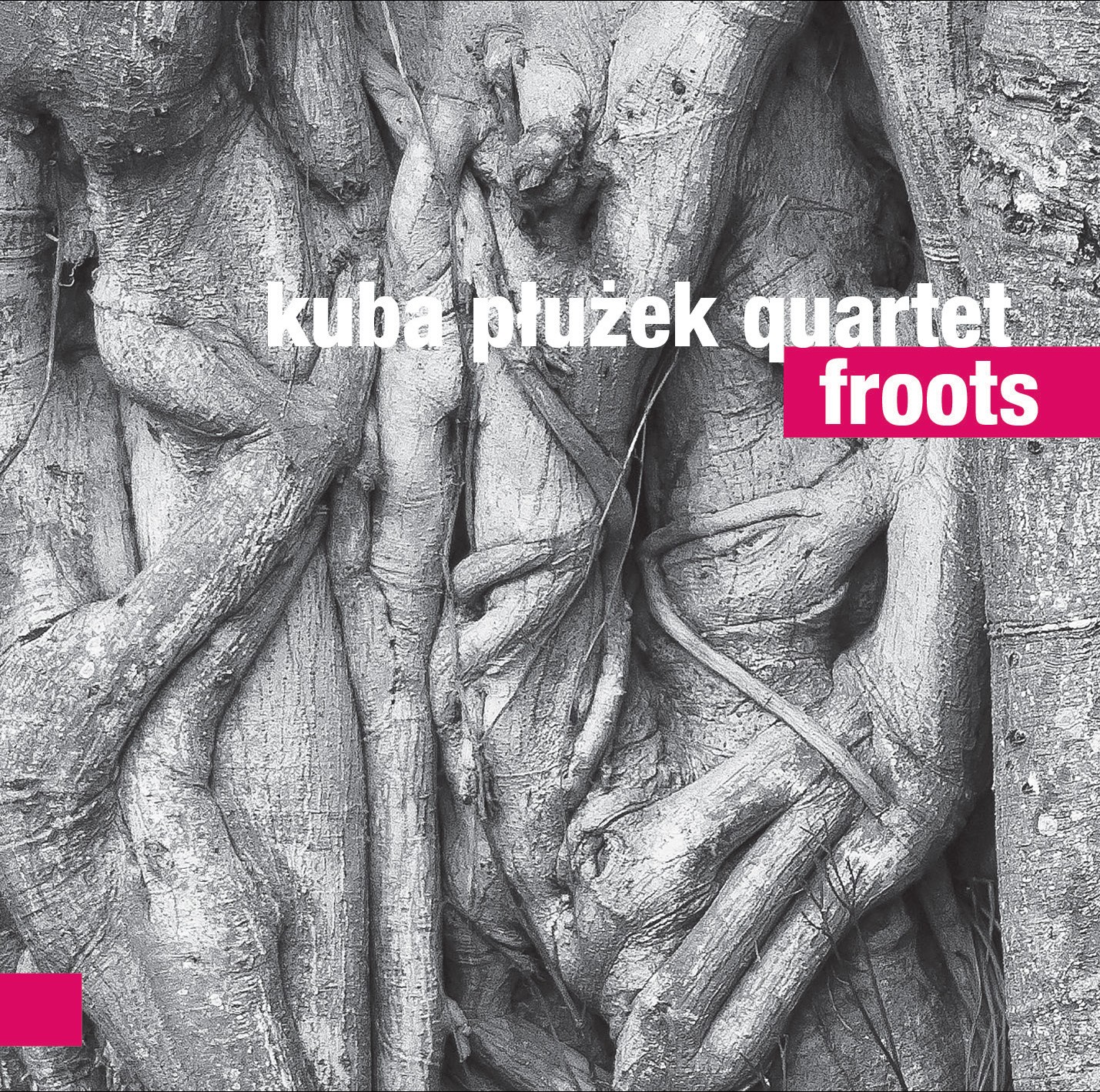 Kuba Płużek Quartet - Froots