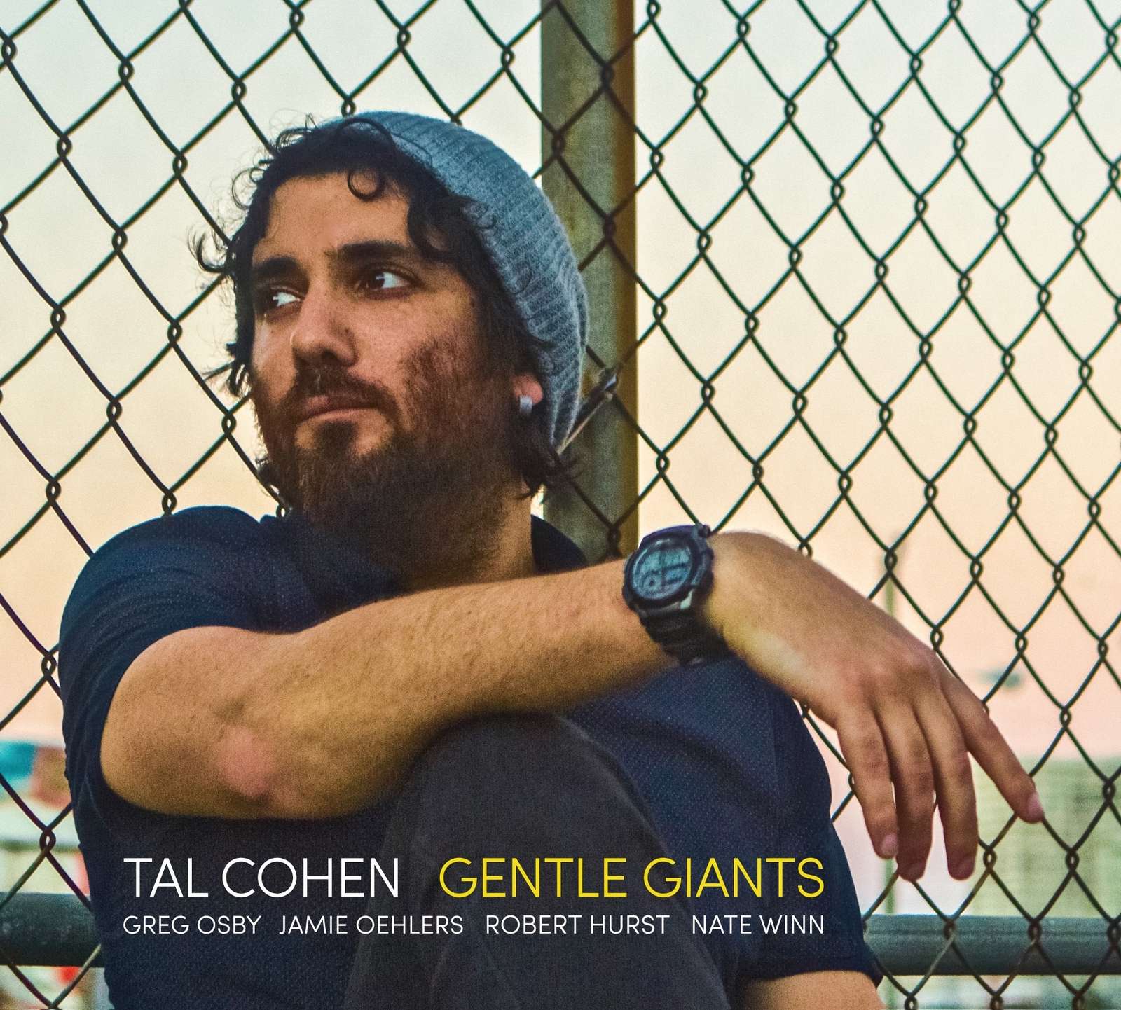 Tal Cohen - Gentle Giants