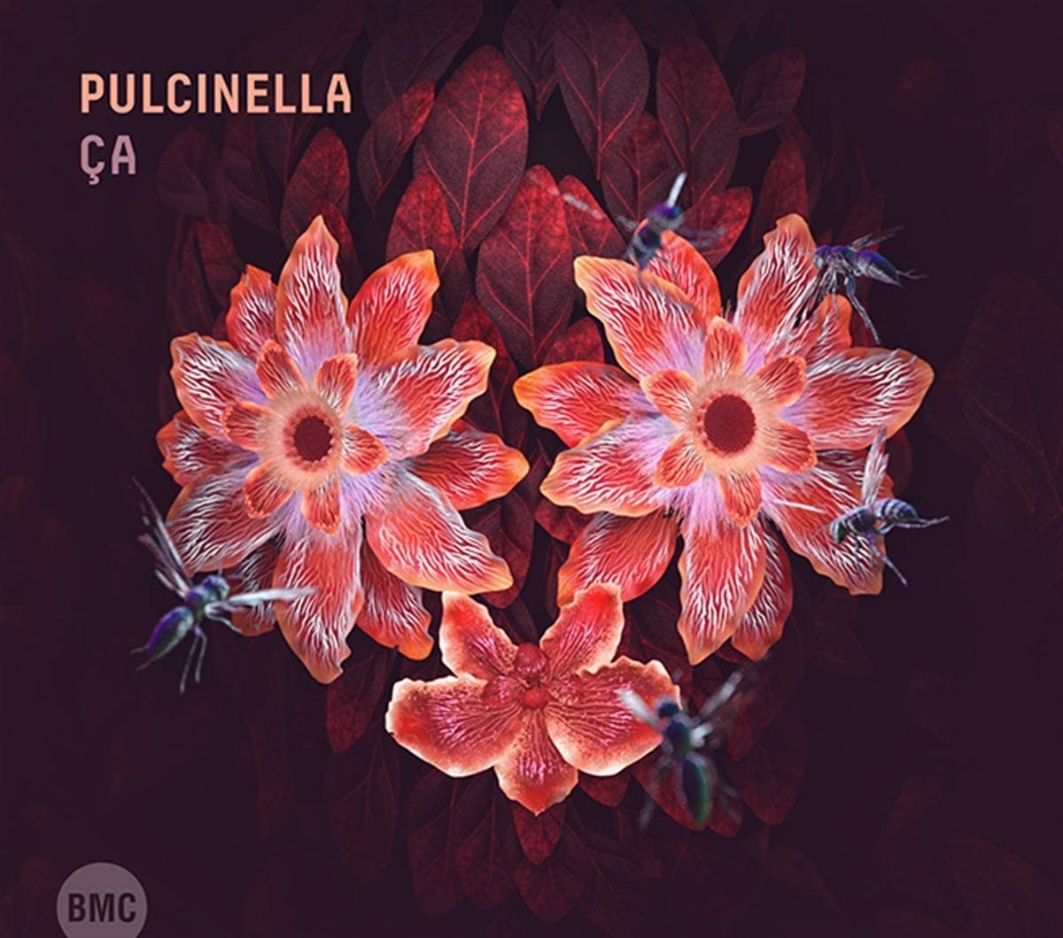 Pulcinella - Ça