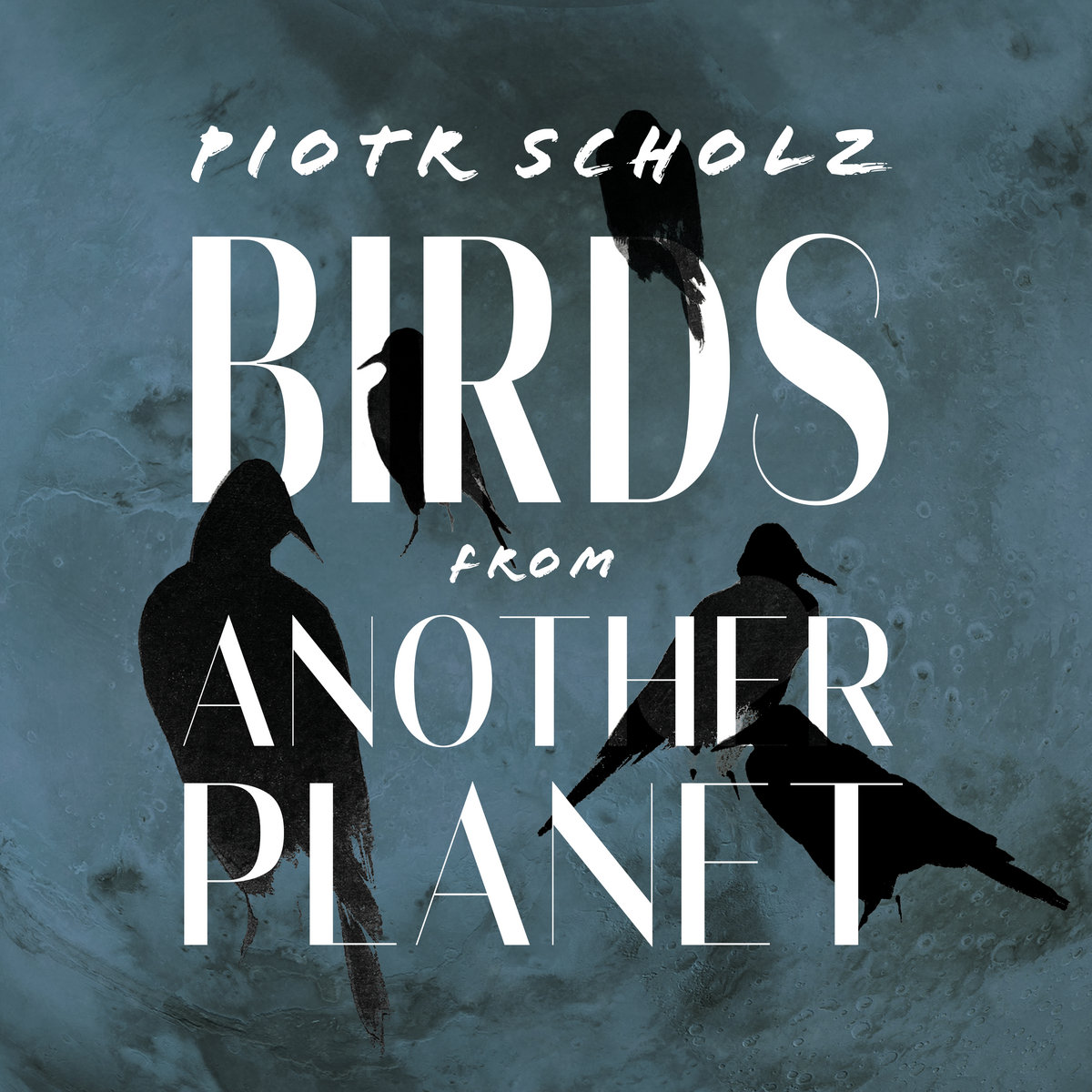 Piotr Scholz - Birds From Another Planet