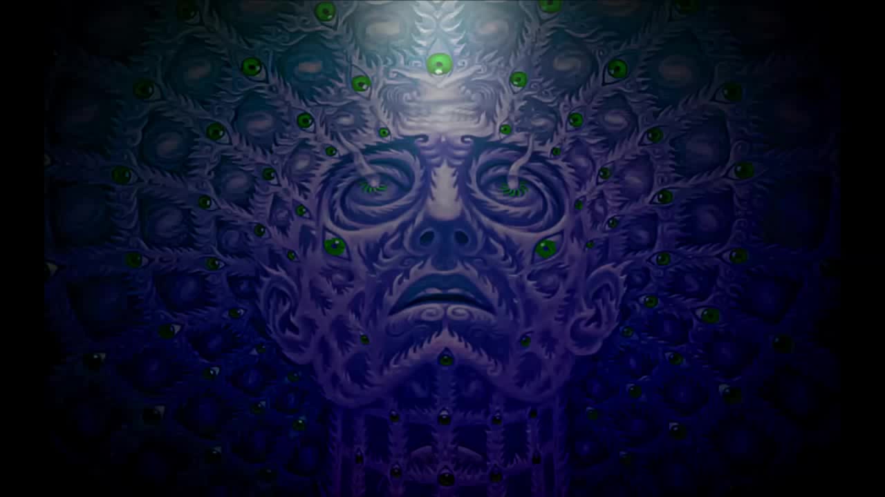 Lirinterpretacje: Tool - Schism