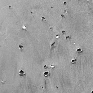 ocean cover ocean cover