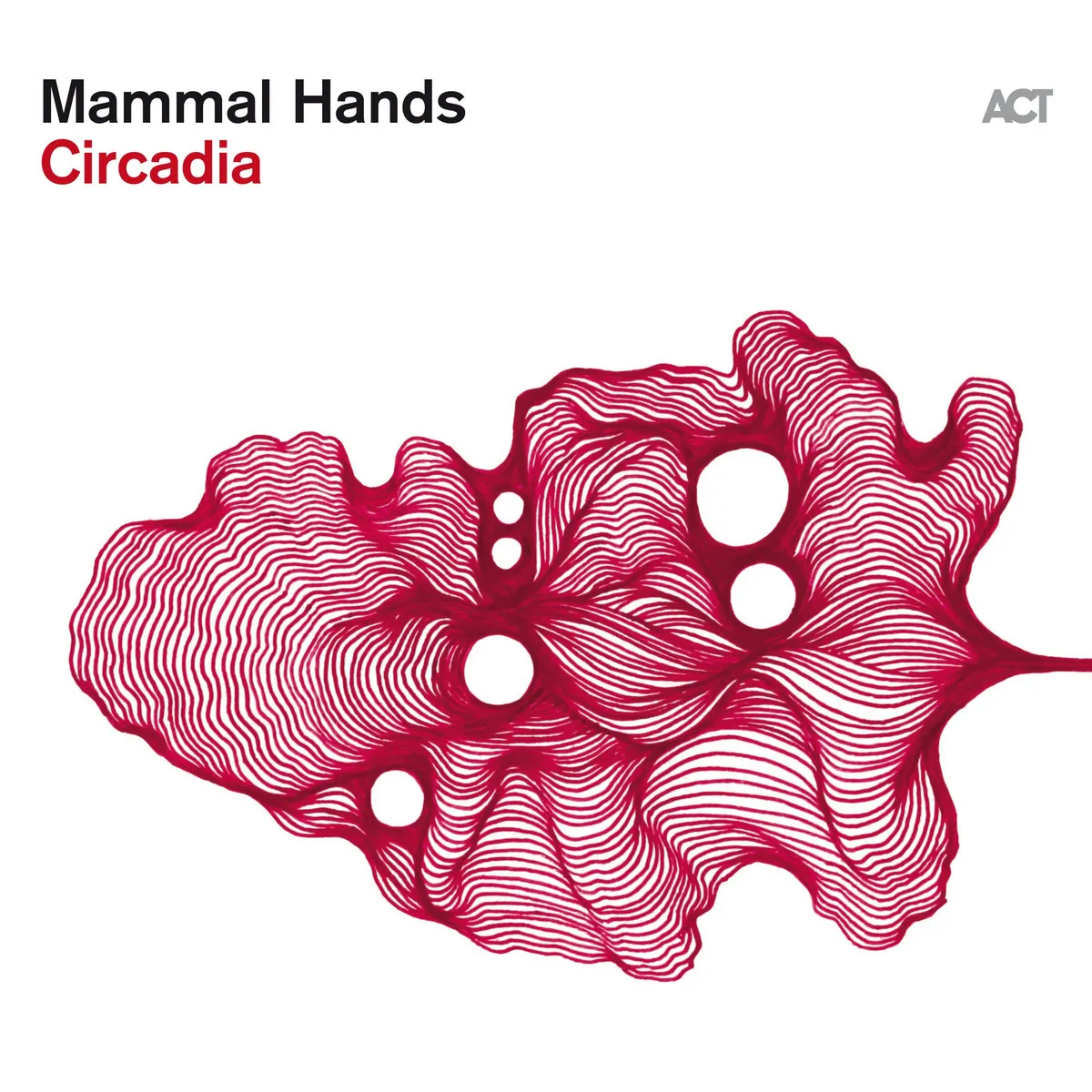 Mammal Hands – Circadia Mammal Hands – Circadia