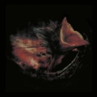 Gurriers – Nobody’s Coming To Save You