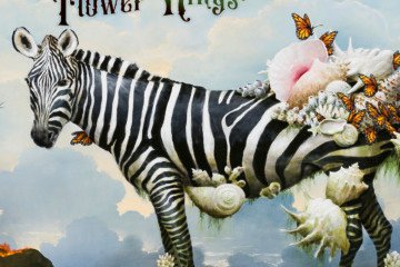 The Flower Kings - Hope